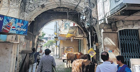 In the midst of Hyderabad's history