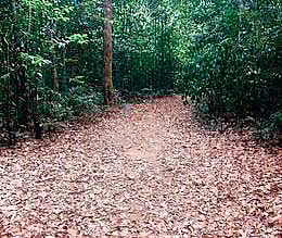 For representational purposes (Photo | EPS)