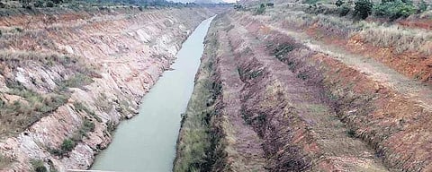 Rengali Right Canal in Dhenkanal I ( Photo | EPS )