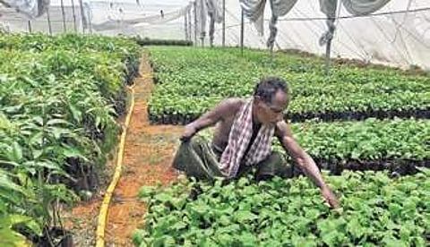 Image used for representational purpose only. (File photo | EPS)