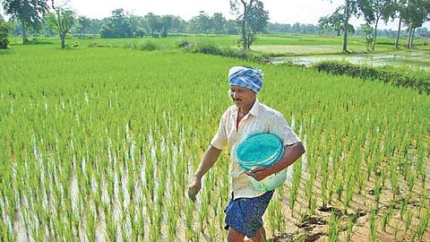 Image used for representational purpsoes only.