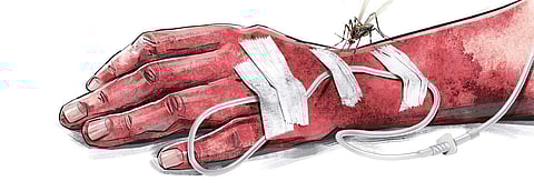 For representational purposes (Express Illustrations)