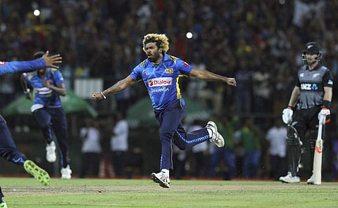Sri Lanka's Lasith Malinga celebrates his hattrick (Photo | AP)