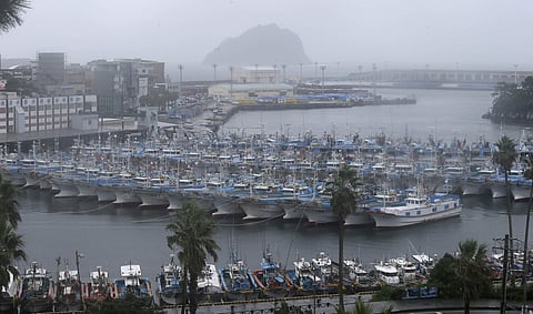 Fishing boats are anchored in port as Typhoon Lingling approaches to Korean peninsular on Jeju Island, South Korea, Friday, Sept. 6, 2019. (Photo | AP)