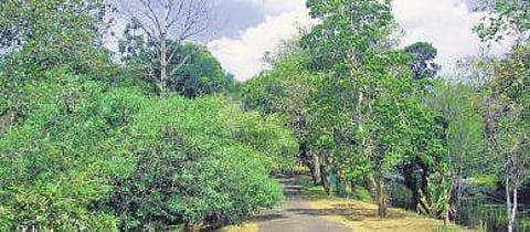 Botanical garden to find a place on tourism map