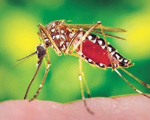 For representational purposes. (File | EPS)