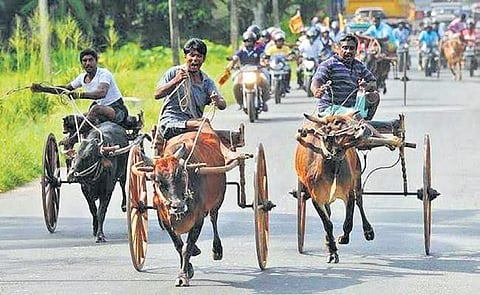 File picture of Rekla race