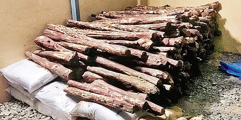 For representational purpose. (Photo | EPS)