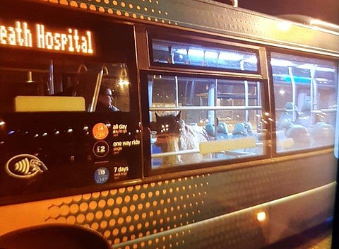 Horsing around. Well...(Twitter | South Wales Police Roads Policing Unit)