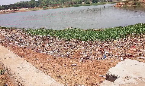 A portion of the polluted DAV pond. (Photo | EPS)