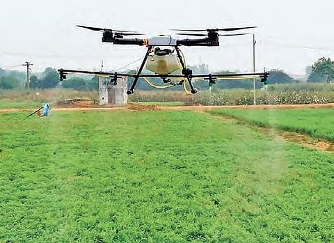 A drone being used to spray pesticide at a farm| Express