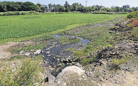 The lake largely contributes to recharging ground water in four areas, (Photo | Martin Louis, EPS)
