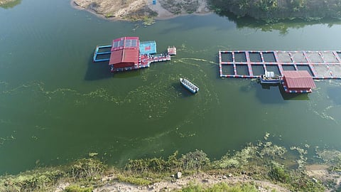Transformation started with water body being created amidst greenery. (Photo | EPS)