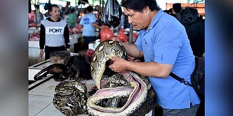 The current Chinese outbreak is believed to have originated from the Huanan seafood market, where sea animals and snakes were reportedly sold alive. (File Photo | AFP)