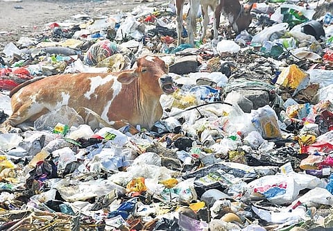 Garbage dumped on Medavakkam High Road at Kovilambakkam | Ashwin Prasath