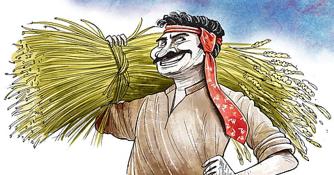 Legalising contract farming