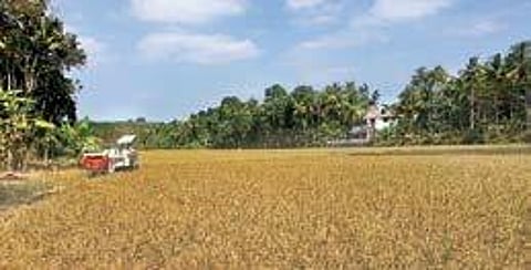 The paddy field near the Kakkatupura LP School. (Right) Members of the Kakkatupara Nellutpadathaka Padashekhara Samithi