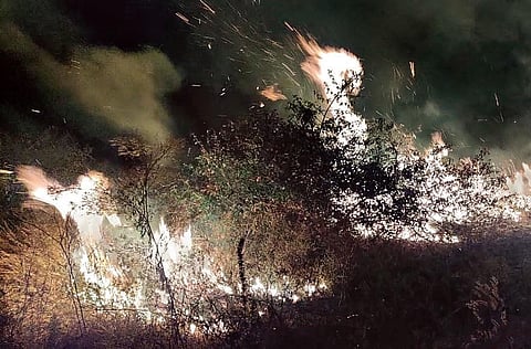 The fire that broke out in Turahalli Forest, near Kanakapura Road, Bengaluru, on Sunday. (Photo| EPS)