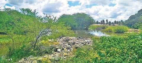Doddasanne Lake to get facelift, thanks to five schoolchildren. (Photo|EPS)
