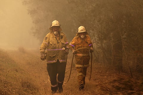Firefighters drag their water hose after putting out a spot fire near Moruya, Australia, Saturday, Jan. 4, 2020. (Photo | AP)