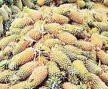 For representational purposes