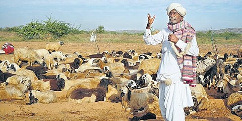 Desi Oon will feature films, workshops and products by artisans all centered on wool