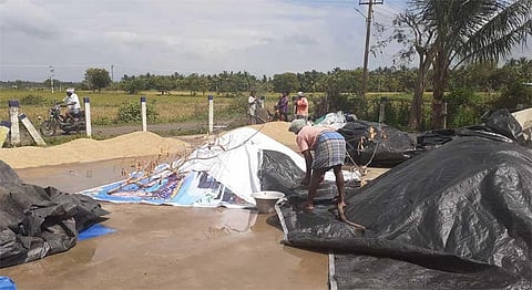 Harvest begins, farmers report drop in yield