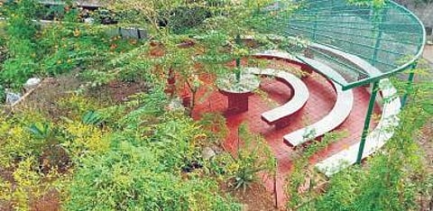 The open classroom at the school (Right) the bio-diversity park