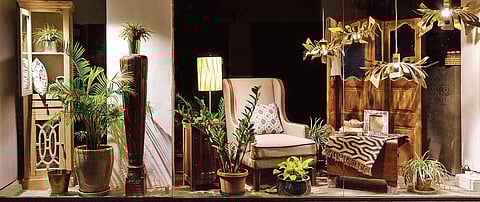 The Purple Turtles: Where form meets function for your home decors