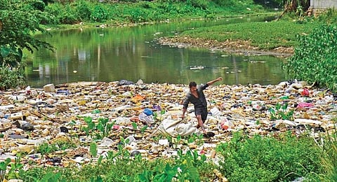 A worker clearing out plastic waste. (File photo | EPS)