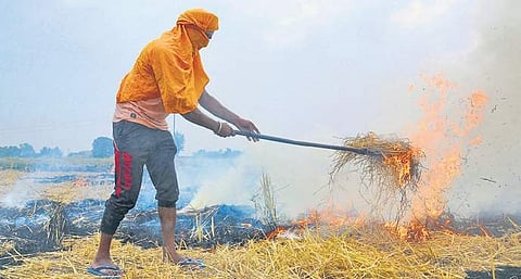 Image for representational purpose only (File Photo | PTI)