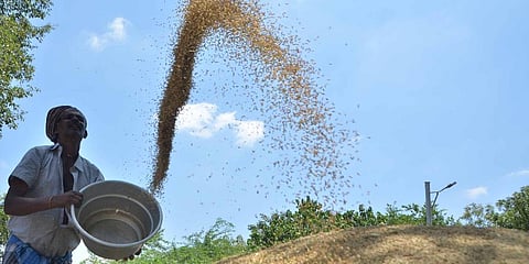 For representational purposes (Photo | EPS)