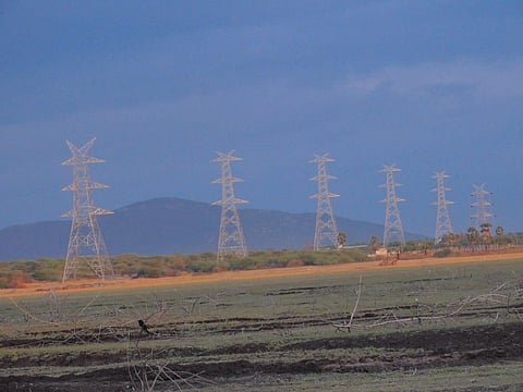 High tension towers erected at Perungulam tank also pose a threat to winged visitors, say birdwatchers (Photo | Express)