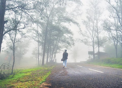 Despite hill stations reopening for tourists across the state, Ponmudi in Thiruvananthapuram will remain closed until further notice | Vincent Pulickal