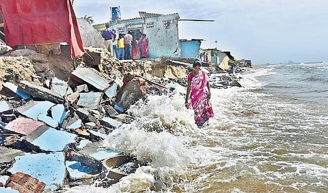 December deadline set for Tamil Nadu shoreline plan