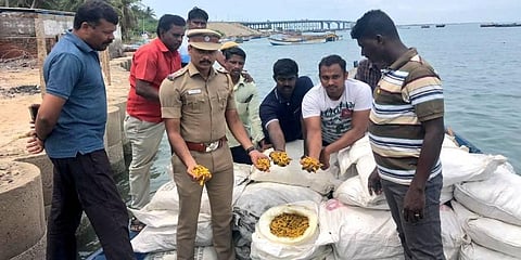 The turmeric was being smuggled to Puttalam in Sri Lanka, officials said