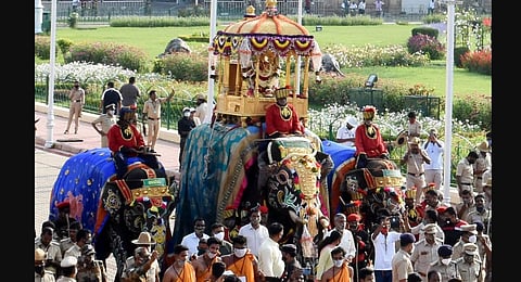 Abhimanyu carries the 750-kg golden howdah with the idol of Goddess Chamundeshwari during the Jamboo Savari in Mysuru. (Photo | Uday Shankar S, EPS)