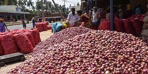 Potato price doubles, onions soften
