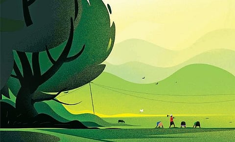 In the soft glow, elements in the frame seem to be blending into one another as if revealing a misty landscape that is nearly spectral or other worldly.