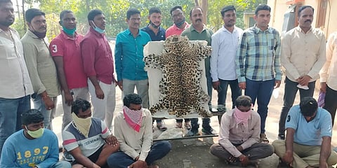 Ramagundam task force police seized Leopard skin, a two wheeler and an auto and arrested six members near Gondguda village. (Photo| EPS)