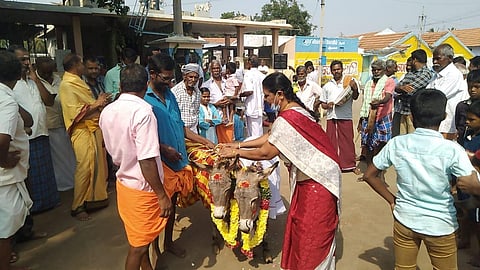 Donkeys married in Tamil Nadu. (Photo| EPS)