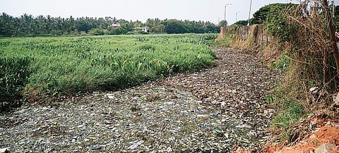 Garbage collected in Bellandur lake. Image is used for representational purposes. (Photo | PUSHKAR V, EPS)