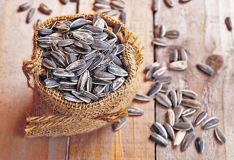 Savour these seeds for energy
