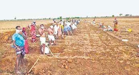 There are at least 3,75,585 domestic workers in Karnataka | Express