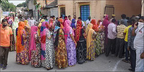 Voters stand in a queue to cast vote during the second phase of municipal elections in Jodhpur. (Photo| PTI)