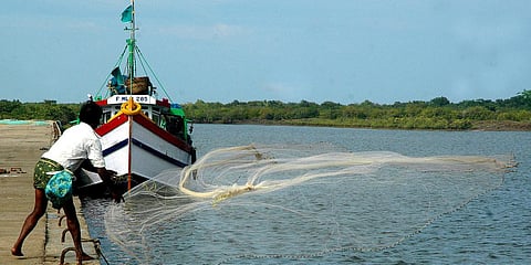 A fisherman goes about his business at the Machilipatnam Port in Krishna district.
