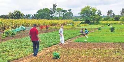 Artist Paris Mohan Kumar in the organic agriculture farm in Wayanad