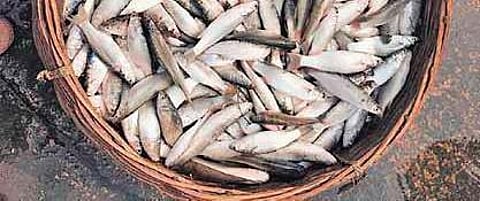 For representational purposes