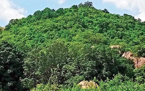 Hatibasini hill near Sagar village. (Photo| EPS)