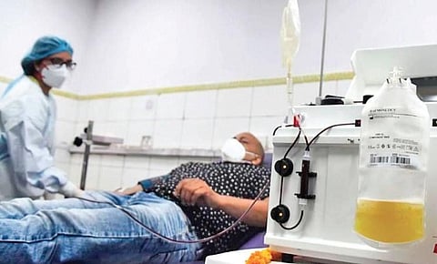 A recovered COVID-19 patient donating plasma. (File Photo)